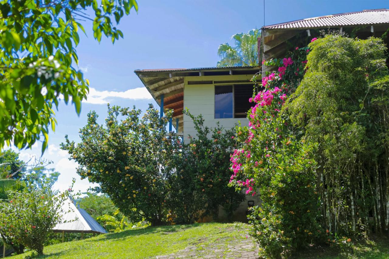 Casa Drake Lodge Drakes Bay エクステリア 写真