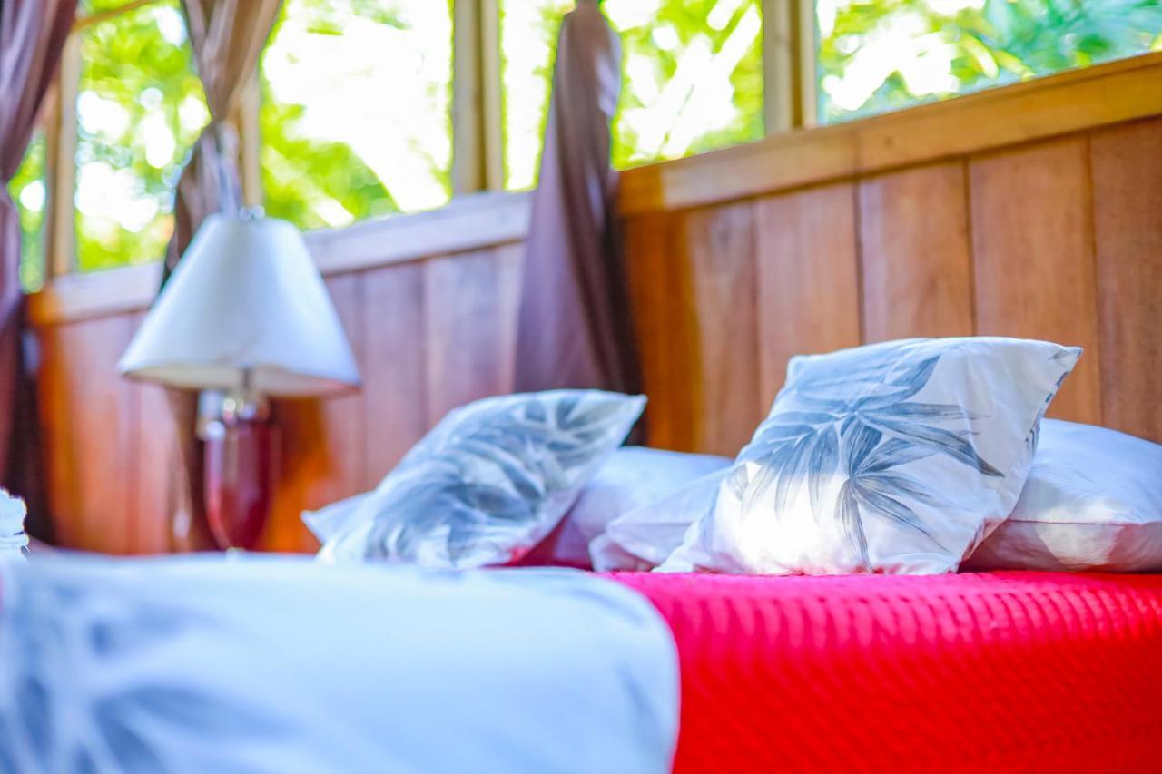 Casa Drake Lodge Drakes Bay エクステリア 写真